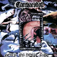 Never on Your Side - Carcharodon