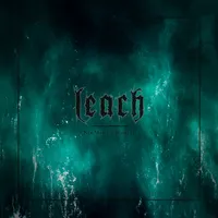 New Model of Disbelief - Leach