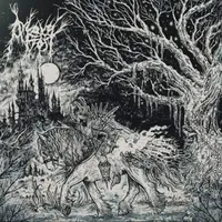 Night's Cavalry - Arcane Frost