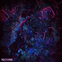 Nocturne - Suncinder
