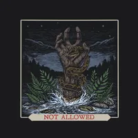 Not Allowed - Fate Unburied