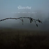 Nothing Left to Burn - Shores of Null