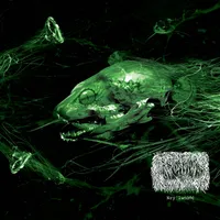 Nry'lwn(rh) - Ar'lyxkq'wr