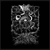 Numinous Negativity - Ventr