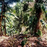 O Ar nos Meus Pulmões / Beautiful World - Antropoceno