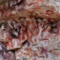 Ochre & Ash - Fauna