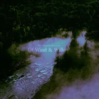 Of Wind & Willows - The Forest Forgets