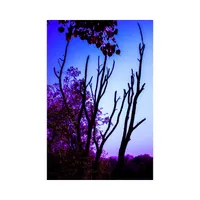 Once - Raat