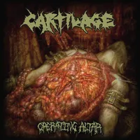 Operating Altar - Cartilage