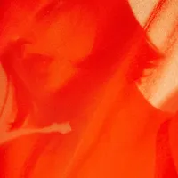 Orange Opulence - Sepulchre by the Sea
