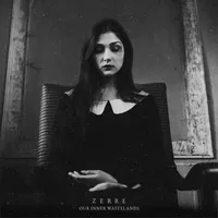 Our Inner Wastelands - Zerre