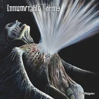 Pain Effulgence - Innumerable Forms