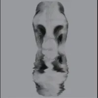 Pantheist - Pantheïst