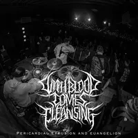 Pericardial Effusion // Euangelion - With Blood Comes Cleansing