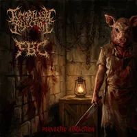 Perverted Attraction - Tumorflesh Rejection