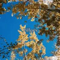 Pillars - Aspen Sanctum