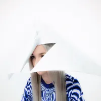 Poppy.Computer - Poppy
