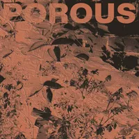 Porous - Troy the Band