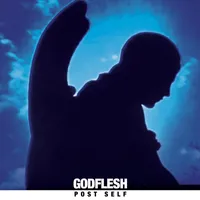 Post Self - Godflesh