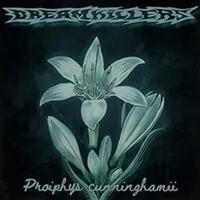 Proiphys Cunninghamii - Dreamkillers