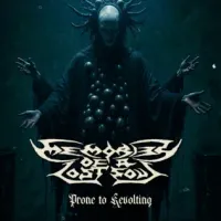 Prone to Revolting - Memories of a Lost Soul