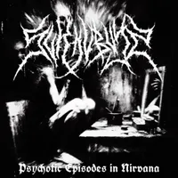 Psychotic Episodes in Nirvana - Sukkubys