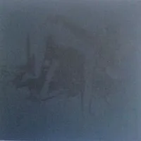 Rain - Fauna