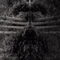 Reflect Your Pain - Membrane