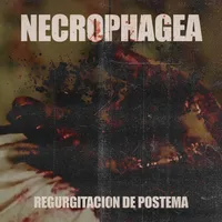 Regurgitacion de Postema - Necrophagea