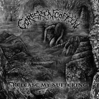 Release My Suffering - GoreSkinCoffin