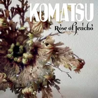 Rose of Jericho - Komatsu