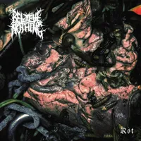 Rot - Believe in Nothing