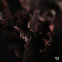 Rot - Conjurer