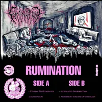 Rumination - Rumination
