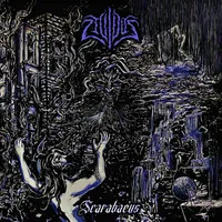 Scarabaeus - Lividus