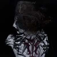 Scars - Lýsis
