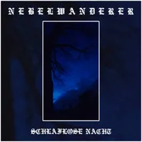 Schlaflose Nacht - Nebelwanderer