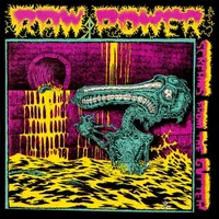 Screams from the Gutter - Raw Power