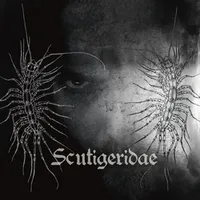 Scutigeridæ - Mortis Mutilati