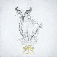 Seegang - Firtan