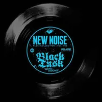 Seeing Visions - Black Tusk