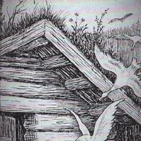 Sehnsucht - Asenheim