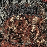 Septicemic Metamorphosis - Putrefacta
