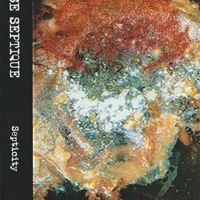 Septicity - Fosse Septique