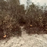 Seud Falaichte - Wyrd from Runa's Stream