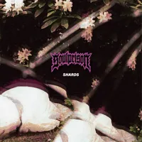 Shards - Soulprison