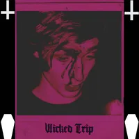 Shed Sessions - Wicked Trip