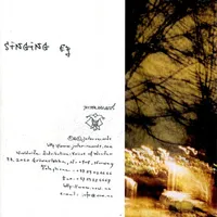 Silencing the Singing - Ulver