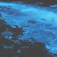 Singularity - Boötes Void