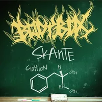 Skante - Bodybox